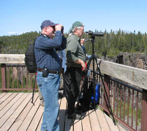 birders